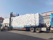 把握機(jī)遇、鉚足干勁、承勢(shì)而上