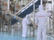 2025年的第一個(gè)月，承德亞歐果仁有限公司在山杏產(chǎn)業(yè)的道路上持續(xù)奮進(jìn)，展現(xiàn)出蓬勃的發(fā)展活力。